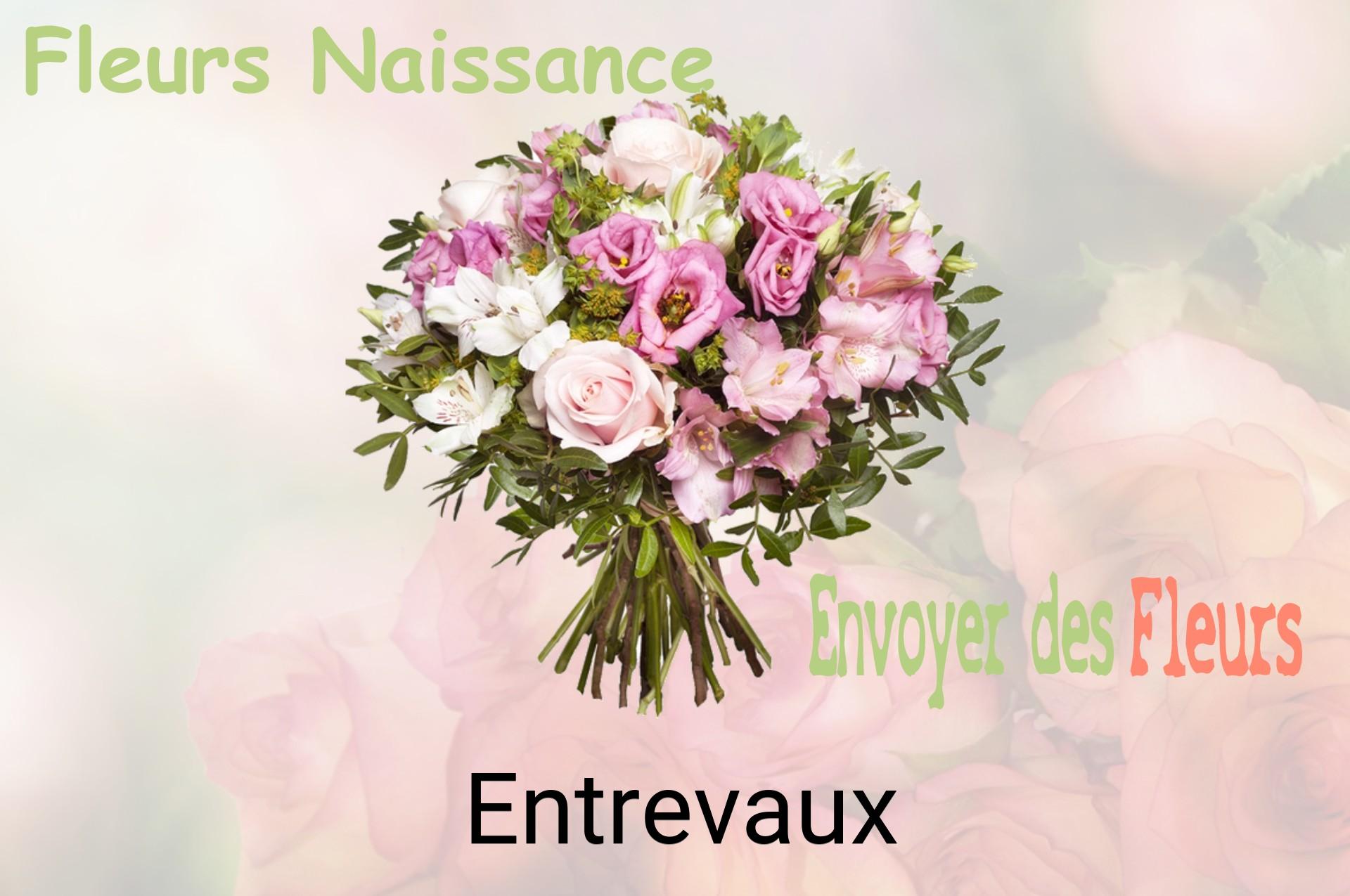 Bouquet de fleurs de naissance livré à Entrevaux