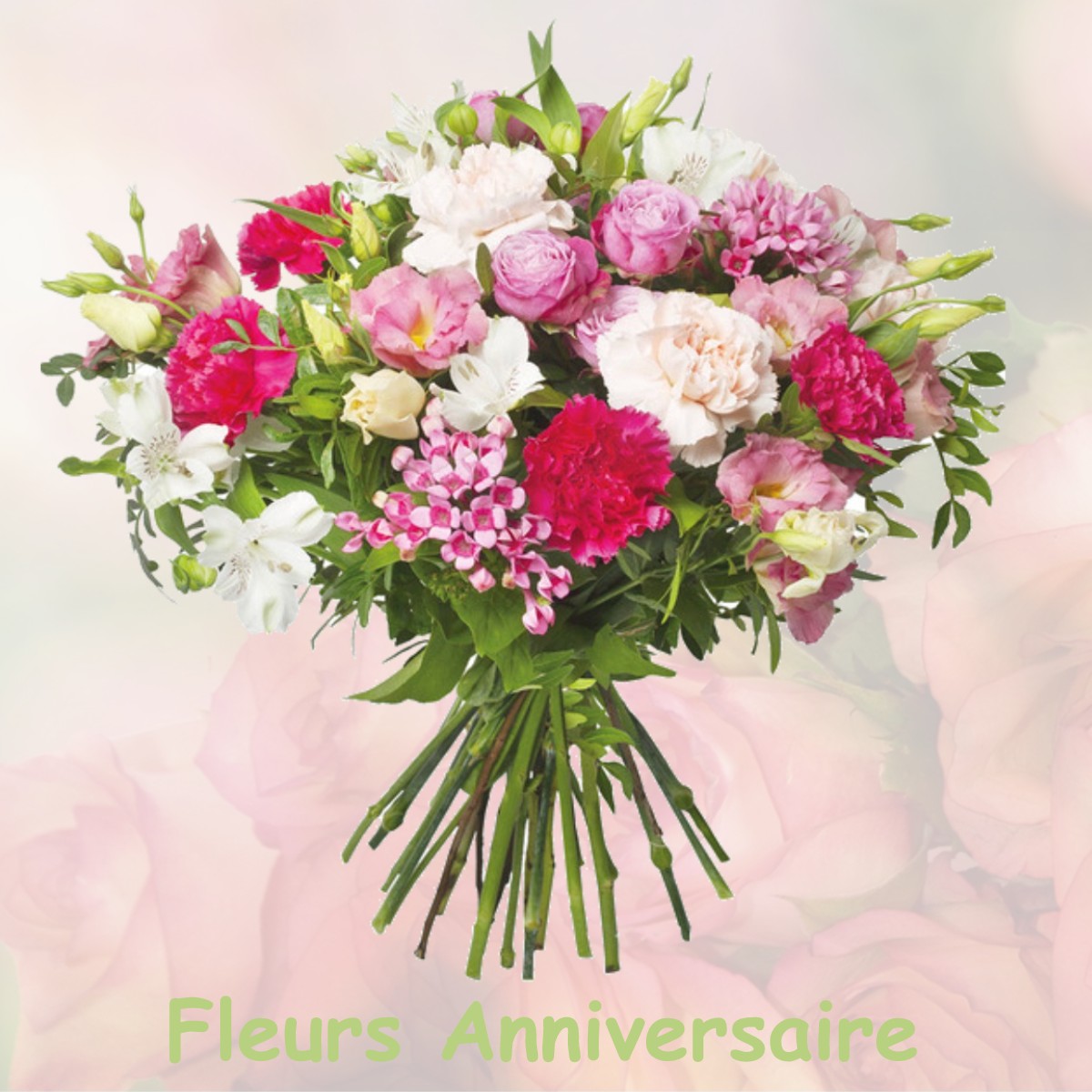 fleurs anniversaire ENTREVAUX